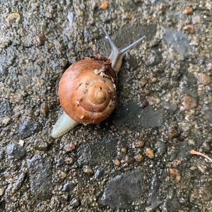 Meet your Posher, Khulood